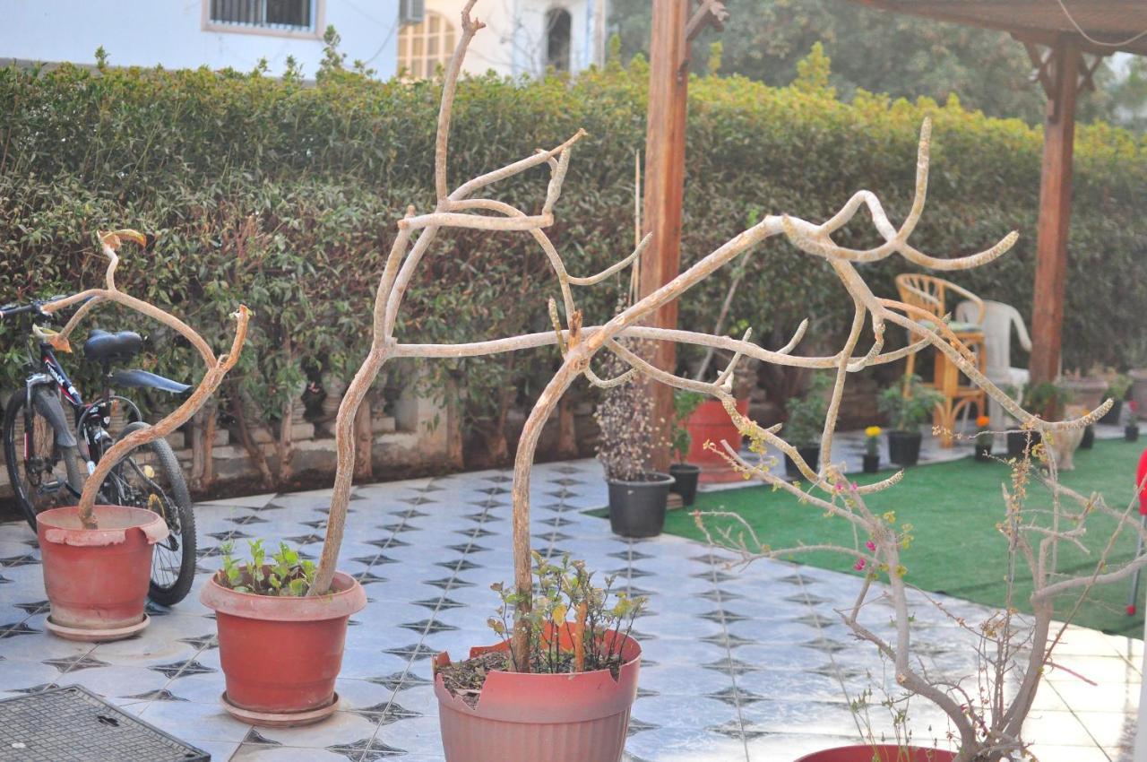 Morning Star Guesthouse Sharm el-Sheik Eksteriør bilde
